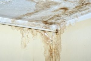 ceiling mold caused by roof leak damage to the interior of a house