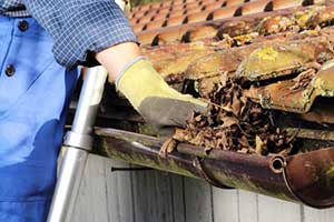 Northern Virginia homeowner cleaning gutter to prevent gutter repair and roof repair