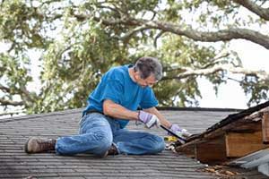 Roofing contractor searching for mold and other dangers to the roof during a roof repair