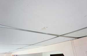 Water spots on the ceiling of home due to a roof leak
