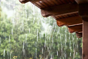 roof repair page