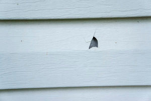 siding damage