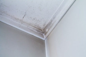 mold on ceiling since a roof repair was neglected