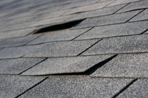 roofing shingles in dire need of roof repairs