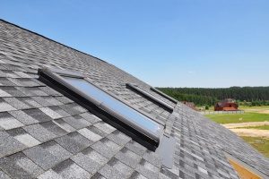 A Northern VA home with three skylights