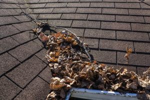 valley of a roof that is cluttered with leaves and needs leak repairs