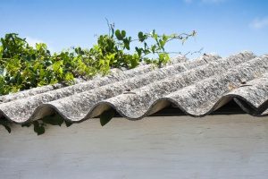 asbestos covering a roof as well as a tree branch laying on top of the home in dire need of roof maintenance and repair