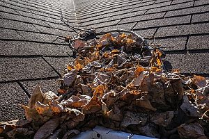 roof damage caused by an overgrowth of leaves within the roof flashing that must need to be repaired by a roof repair contractor