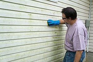 a contractor scrubbing off a bunch of mold underneath the siding of a house which means the house needs proper siding repair
