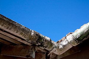 mold and asbestos crowding a rain gutter where it could impact the siding and cause damages so the homeowners must get in touch with a siding replacement contractor