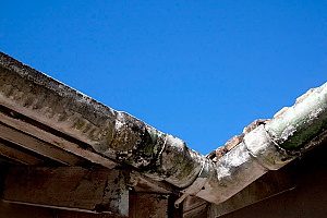 exterior mold on a rain gutter