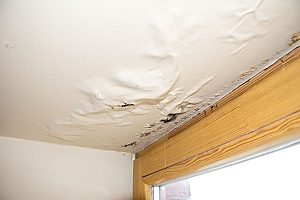 roof leaks in a home that are significantly damaging the ceiling which means the homeowners must quickly schedule a consultation with roof repair contractors