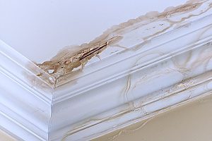 My Roof is Leaking, Will Insurance Cover the Repair Costs?
