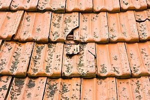 a roof that is severely damaged and needs a roof replacement but the homeowners plan to buy the house since it is covered by insurance