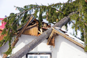 a tree that fell onto a roof during a storm causing roof damage