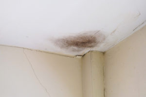 big water spot on the ceiling indicating an old or damaged roof