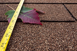 a leaf on top of a roof that is being measured