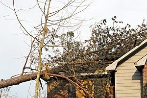 tree damage to roof that needs top 8 fairfax roof repair tips