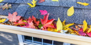 fall leaves on a roof in the suburbs